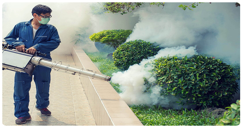 marxismo Fascinar Saltar Control de Plagas Bogota | CONTROL EN SALUD E HIGIENE | Fumigaciones Bogota  | Limpieza de Tanques de Agua Bogota | Control de Roedores Bogota | Cursos  de Manipulacion de Alimentos Bogota 