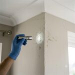 Puntos negros en la pared o el techo: ¿son moho, excremento de plaga o termitas?