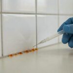 Gel para cucarachas: cómo usarlo bien y por qué a veces no funciona